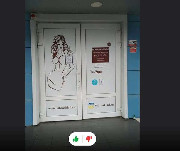 Дверь магазина сети Вибросклад на ул. Московской. Фото Яндекс.карты